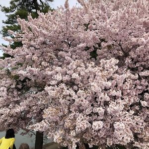 Meet your Posher, Deejay